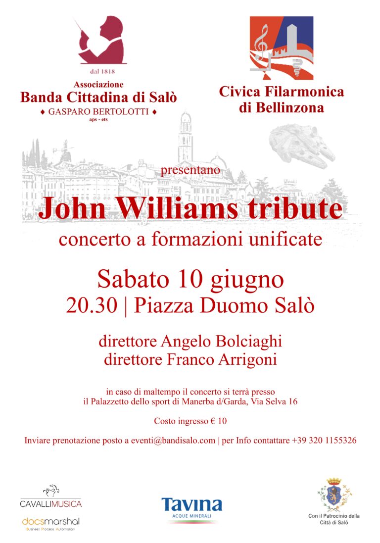 Concerto Tribute John Williams